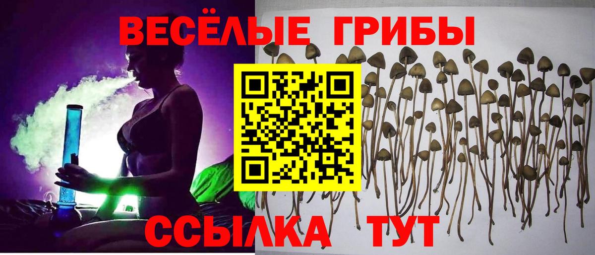 Лабытнанги  Галлюциногенные грибы Magic Shrooms  Вход с VPN  Псилоцибиновые грибы GOLDEN TEACHER 